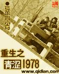 重生之青涩的1978