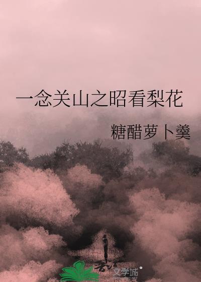 一念关山原著免费阅读全文