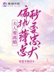 夫人又在闹离婚了薄司晏