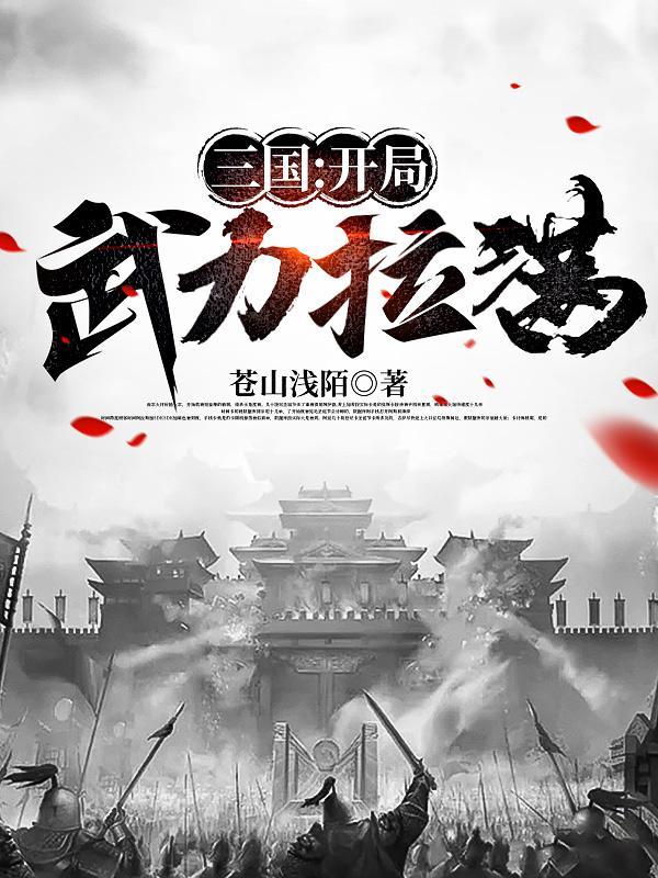 三国之开局就武力无敌飞卢