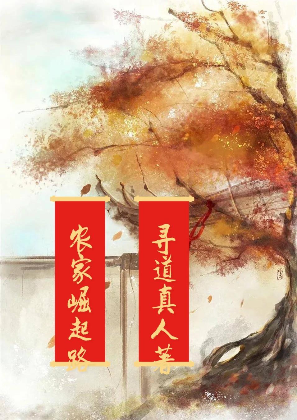 小农家崛起全文免费阅读