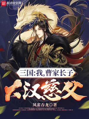 三国我曹家长子大汉慈父笔趣阁