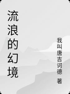 流浪者幻想曲是谁的