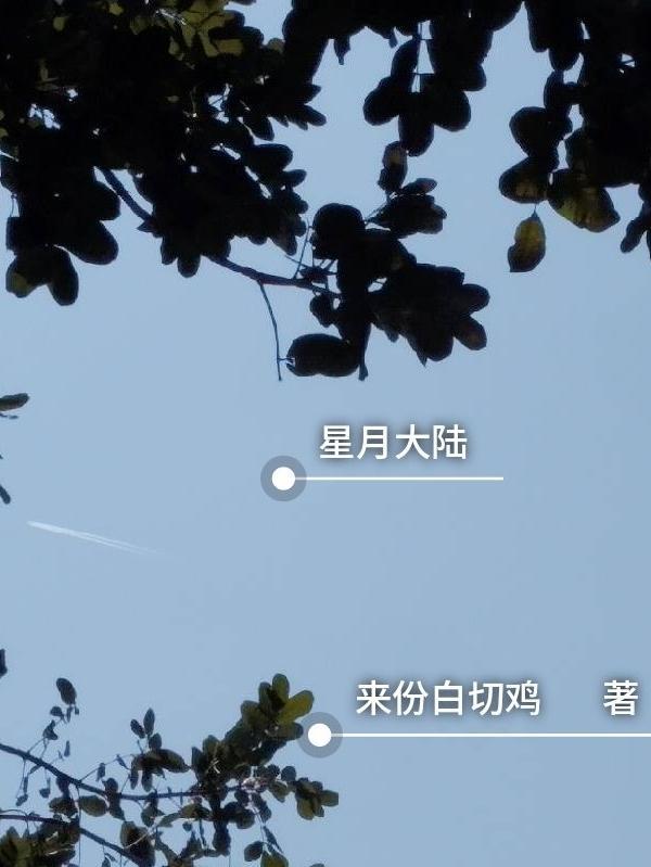 星月大陆之封印权杖