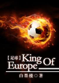 足球king of europe txt