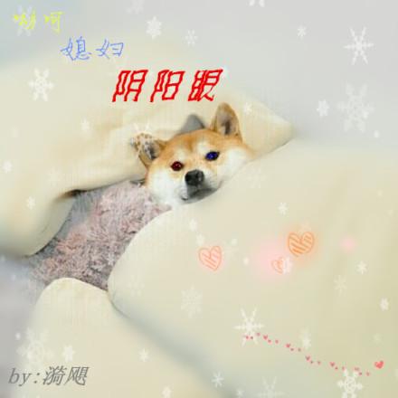 媳妇阴阳眼