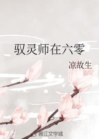 驭零师在六零