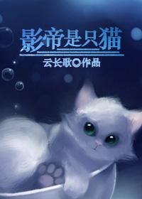 影帝是只猫by