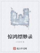 惊鸿掠影什么意思