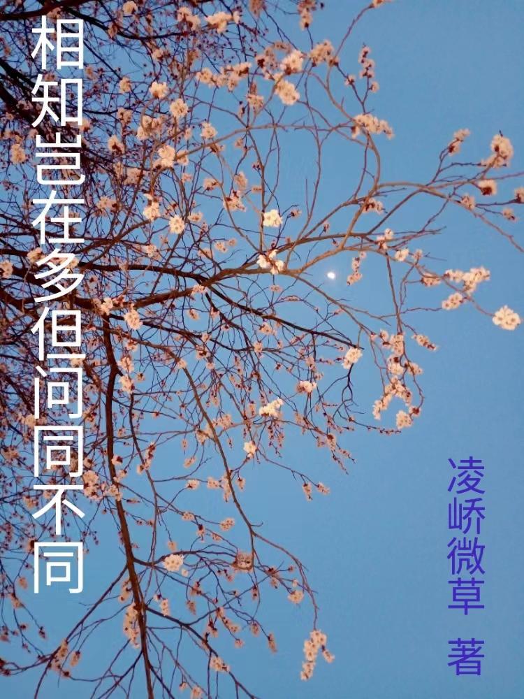 但问同不同