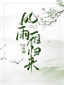 风雨雁归来武功排名