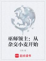 巫师大领主