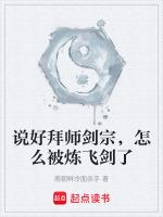 拜师剑宗后我慌了讲了什么