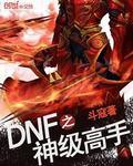 dnf神级高手电子书