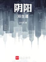 双生阴阳镯