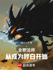 全职法师从成为穆白开始