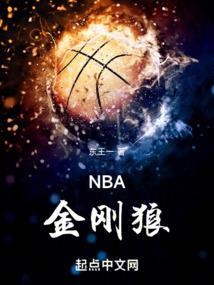 nba金刚狼免费阅读全文笔趣阁