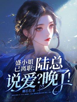 女主叫盛小染的