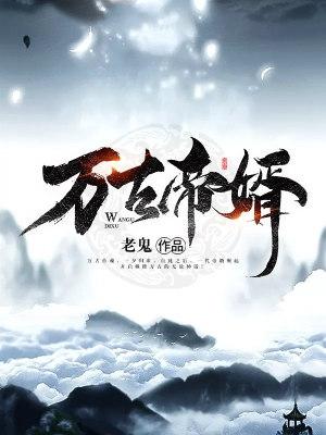 万古帝婿完结版