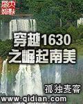 穿越1630之崛起南美精校版