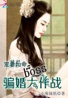 宠妻如命boss骗婚大作战免费阅读