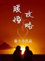 暖婚攻略易次元