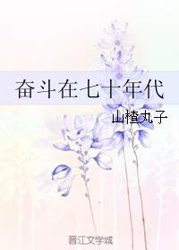 奋斗在七十年代末般若TXT