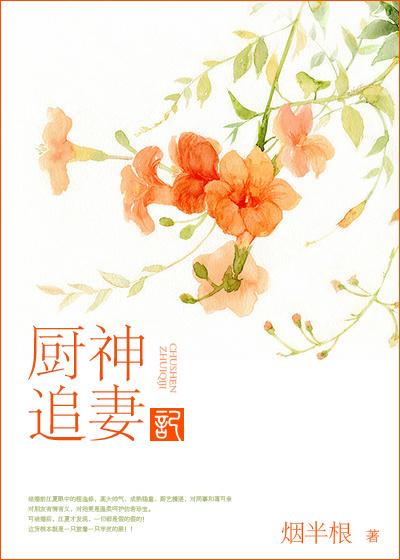 厨神追妻记未删减完整版