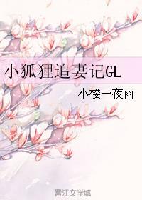 小狐狸追妻记哔哩哔哩