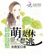 暖婚蜜爱盛宠小甜妻免费阅读