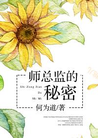 师总监的秘密txt