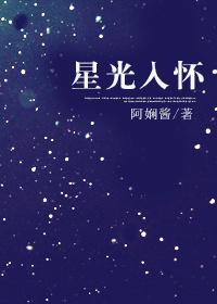 星光入怀阿娴酱晋江