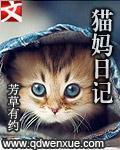 观察猫日记