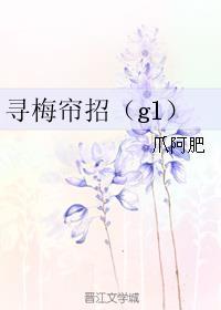 寻梅帘招(gl) 爪阿肥