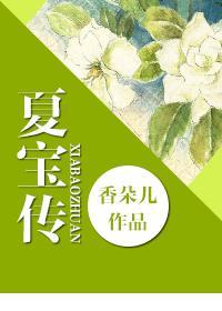 重生夏宝传第3部乐文