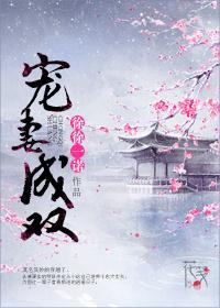 宠妻成双完整版