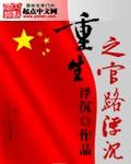 重生之官路浮沉epub