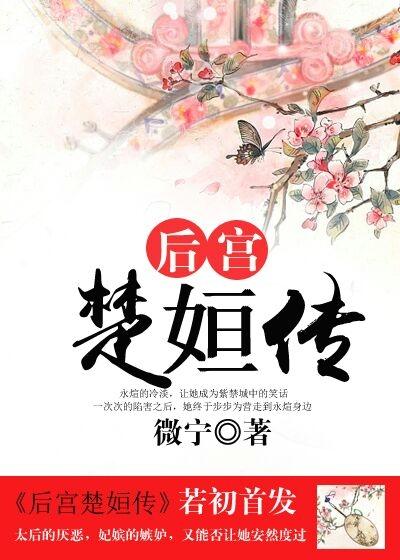 后宫淑妃传