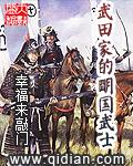 武田家的明国武士八零