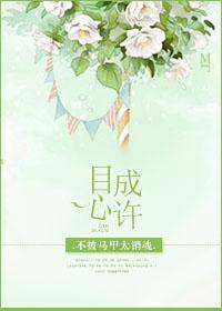 无敌小校医无删字