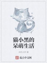 猫小黑的呆萌生活