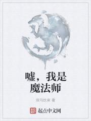 嘘，我是魔法师