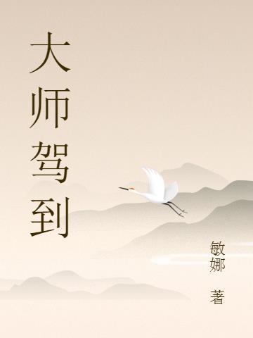 大师驾到