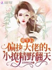 重生后，偏执大佬的小撩精野翻天